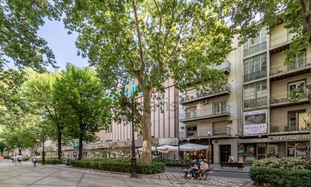 Apartamento Con Terraza A 4 Minutos De La Catedral Granada Ngoại thất bức ảnh